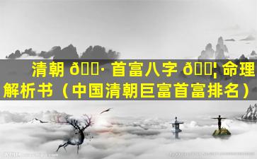 清朝 🌷 首富八字 🐦 命理解析书（中国清朝巨富首富排名）